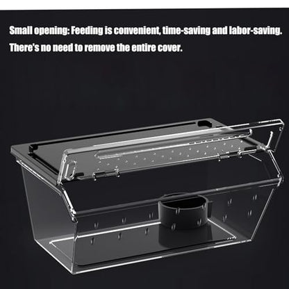 1 Clear Habitat Enclosure with Ventilation Holes, Easy-Clean Acrylic for Amphibians & Small Pets Snake Habitat Box - color: black