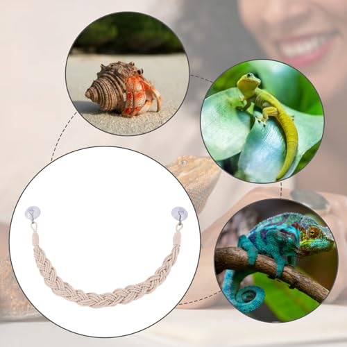 Hermit Crab Toys Tank – Reptile Terrarium Accessories Climbing, Jute Rope Ladder Lizards, Geckos Snakes | Tank - Reptile Terrarium Accessories Climbing Jute Rope Ladder Lizards Geckos S - color: Beige