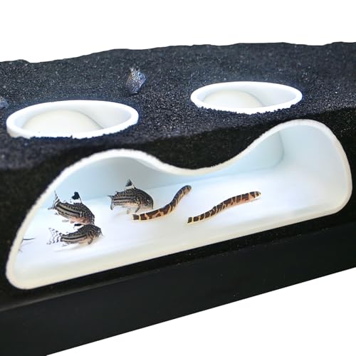 Aquarium Underground Tunnel Cave Natural Curve Two Hole | Viewing Fish & Shrimp Under Gravel Tunnel | Fish Tank Decor Decoration Hideout Perfect for Corydora Catfish, Kuhli Loach, Pleco (White) - color: White