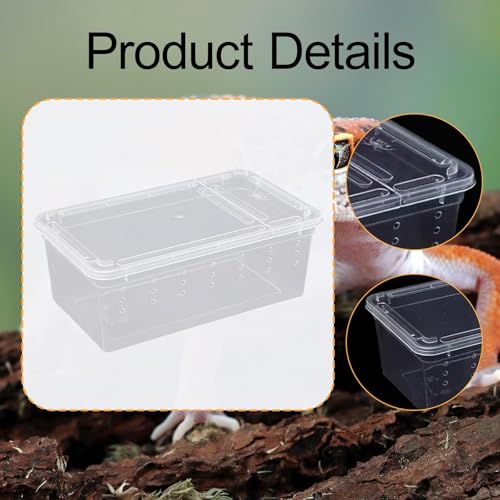 Reptile Breeding Case Lightweight Clear Feeding Box Reptile Habitat Portable Animal Container PP Material Suitable for Feeding Pets hatchling Raising, Style D - size: Style D