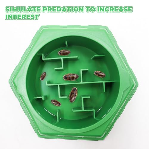 Bearded Dragon Tank Accessories, Reptile Maze Food Bowl and Water Bowl 2-in-1, Reptile Water Dish, Tank Accessories for Bearded Dragon, Ball Python, Gecko, Snake - size: Small