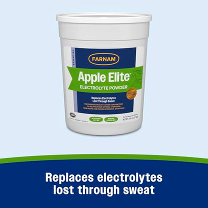 Farnam Apple Elite Horse Electrolytes Powder Supplement, Replaces Vital Minerals, Encourages Hydration, Sugar-Free, Contains Sodium, Potassium, Calcium & Magnesium, Apple Flavored, 5 lb - size: 5 pounds