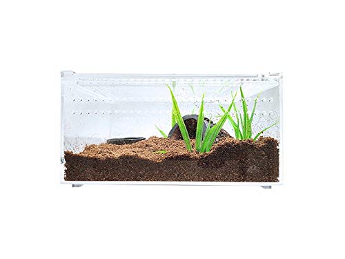 Herpcult Magnetic Acrylic Mini-Flat Enclosure 8 x 6 x 4