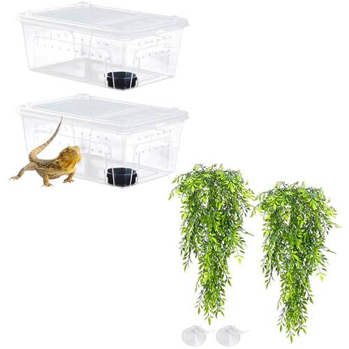 Hamiledyi 2PCS Reptile Feeding Box Snake Breeding Box Transparent Cage and Tank Habitat Decorations 2 PCS Terrarium Hanging Plants with Suction Cups for Lizard, Snake, Bearded Dragon, Leopard Gecko, C