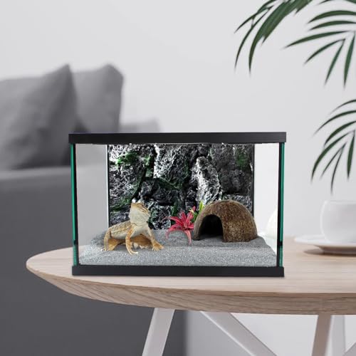 Reptile Glass Terrarium Tank 12 * 12 * 8" Full View with Top Ventilation, Amphibians Box Habitat Enclosure Cage for Frog,Spiders,Dubia Cockroach,Praying Mantis,Cricket,Tarantula,Hermit Crab - size: 12*12*8inch