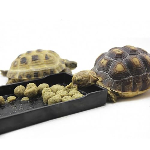 OMEM Reptile Bowl Large Food and Water Dish Enough Space Also Fit for Bath Simulated Wood Grain Surface (M, Black) - color: Black, size: M