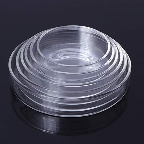 Shrimp Feeder Glass Feeding Dish Aquarium Fish for Tank Reptiles Round Clear Food Bowl 3.9" 3.5" 3.2" 3.0" 2.6" 2.4" Tra Aquarium Heater Light Thermometers Gravel Sand Decorations