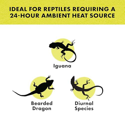 Zilla Incandescent Spot Bulb, for Nocturnal Reptile Species, Night Black - size: Pack of 1, style: Night Black (50W)