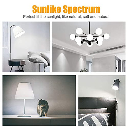 Full Spectrum Light Bulb, 6000K Natural Sunlight Bulbs, 9W 60W Equivalent LED Light Bulb, Natural Light Bulbs A19, E26/E27 LED Light Bulbs for Home, 3 Pack - color: 6000k Daylight, size: 3 Count (Pack of 1)