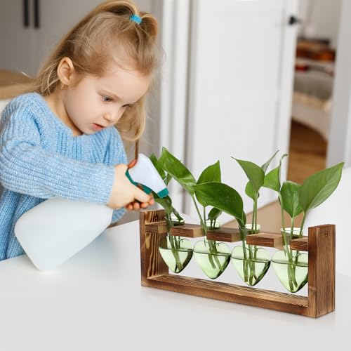 Plant Propagation Stations Heart Plant Terrarium Kit Gift for Women Plant Lover Glass Vases - color: Green