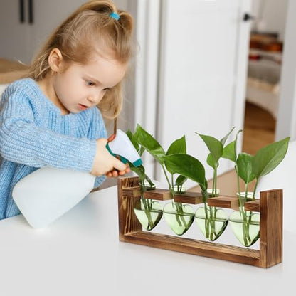 Plant Propagation Stations Heart Plant Terrarium Kit Gift for Women Plant Lover Glass Vases - color: Green
