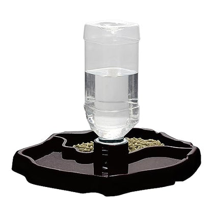 IBWell 2-in-1 Reptile Water Bowl Food Dish with Bottle Automatic Reptile Feeder for Turtle, Bearded Dragon, Lizard Gecko Water Bowl Food Dish