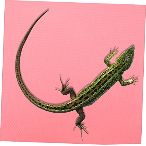 Reptile Carpet Substrate Pad for Bearded Dragon Tank Lightweight Portable Terrarium Accessory Easy to Clean Reptile Mat for Leopard Gecko Lizard Snake Turtle