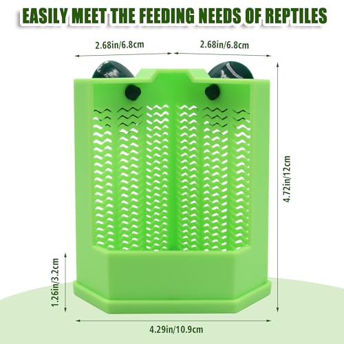 Chameleon Feeder with Suction Cups, Green Bearded Dragon Food Bowl, Wall Mount Insect Feeding Box for Reptile, Corner Hunting Bowl for Frogs Geckos, Tank Accessories (Green)