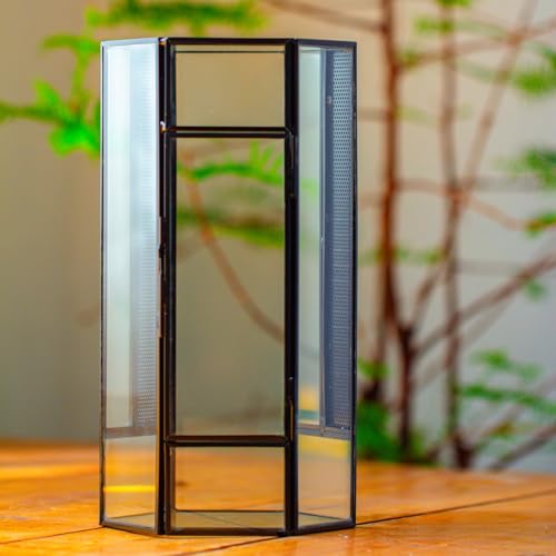 NCYP Small Glass Enclosure Terrarium with Mesh and Door for Spiders - Hexagon Shape Small Mantis Vented Glass Terrarium 4.9'' x 4.3'' x 9.4'', Tabletop Decor, Black (Plants Not Include) - size: 4.9'' x 4.3'' x 9.4''