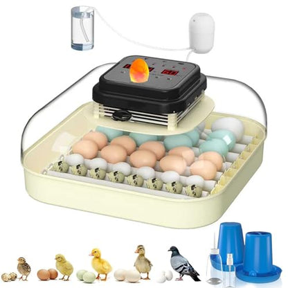CoInceptus 35 Eggs Incubators for Hatching Eggs,Egg Incubator with Automatic Egg Turning and Humidity Control,Chicken Egg Incubator with Egg Candler, Incubator for Chicken, Duck, Goose, Pigeon, Quail