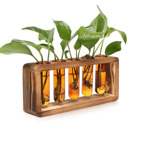 Glass Plant Propagation Station with 5 Test Tubes Colorful Planter Vase Birthday Gifts for Women in Wooden Stand - color: Amber