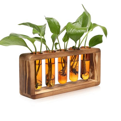 Glass Plant Propagation Station with 5 Test Tubes Colorful Planter Vase Birthday Gifts for Women in Wooden Stand - color: Amber
