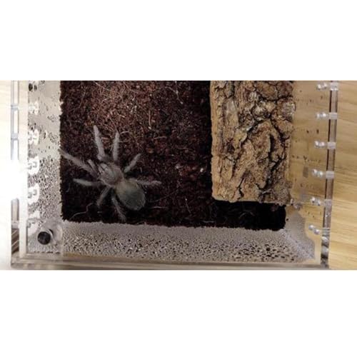 Reptile Terrarium Breeding Box Ventilated Container Enclosure for Lizards Terrapin Crayfish Snake- 10.5cmx8.5cmx6cm