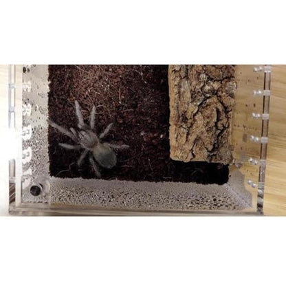 Reptile Terrarium Breeding Box Ventilated Container Enclosure for Lizards Terrapin Crayfish Snake- 10.5cmx8.5cmx6cm