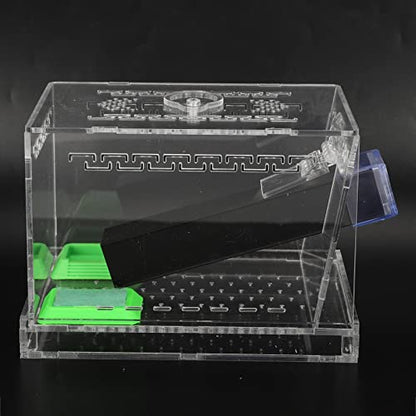 Acrylic Cricket Feed Box with Observation Window for Reptile Terrarium Insect Care Kit, Non-Toxic Material for Easy Cleaning, Tank Box for - size: S