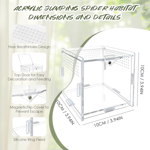 Jumping Spider Enclosure, 4"x4"x4" Acrylic Habitat Terrarium - Top Opening with Ventilation & Feeding Holes, Small Pet Tank for Jumping Spiders, Snails, Insects, Isopods