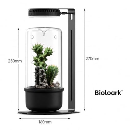 Bioloark LED Magnetic Plant Light with Stand, 5W USB Terrarium Lamp for Moss, Bio Bottle, Small Plant Display, 3 Light Colors, Dimmable Touch Control, Light with Stand - color: Magnetic light kit