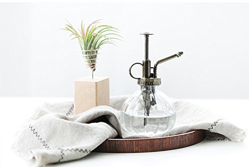 Plant Mister, Glass Watering Spray Bottle with Bronze Top Pump 6.5" Tall Decorative Mister for Plants and Flowers Small Watering Can for Indoor Potted Plants & Terrariums - Clear
