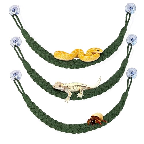 kathson Snake Climbing Toys, Corn Snake Enrichment Toys Rope Ladder, Hermit Crab Climbing Toy Reptile Tank Terrarium Accessories for Geckos Lizards Ball Python (3pcs Green) - color: 3pcs Green