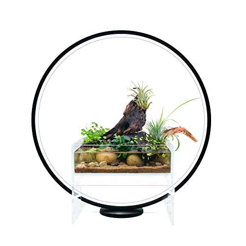 Circle Full Spectrum Plant Grow Light w/Display Stand, for Terrarium, Nano Fish Aquarium, Bonsai, Potted Plants. Gift for Mother's Day, Gift for Plant Lover (11.8 in/30cm Diameter)