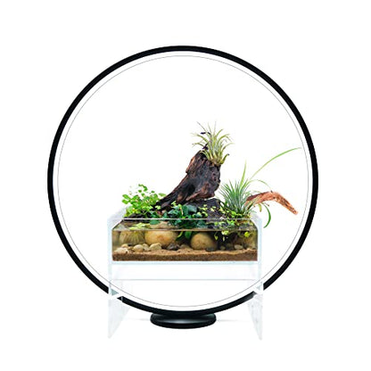 Circle Full Spectrum Plant Grow Light w/Display Stand, for Terrarium, Nano Fish Aquarium, Bonsai, Potted Plants. Gift for Mother's Day, Gift for Plant Lover (11.8 in/30cm Diameter)