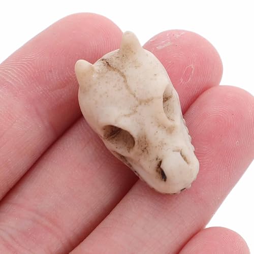 BESPORTBLE Mini Resin Dragon Skull Figurine, 20Pcs Halloween Skeleton Head Statue Miniature Dragon Skulls for Crafts Halloween Micro Landscape Decor
