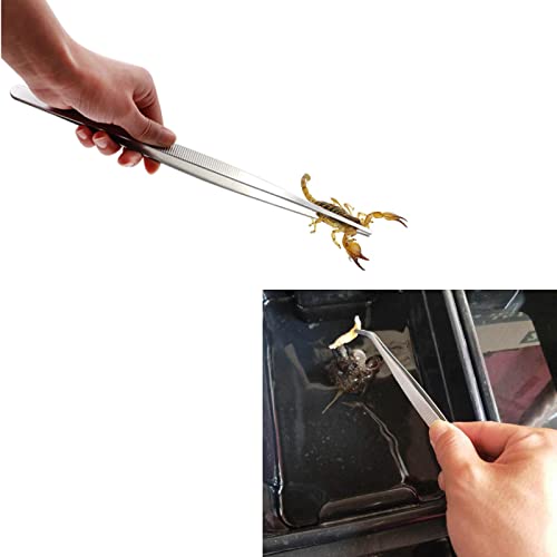 3in1 Feeding Tool Reptile Feeding Tongs Cricket Clamp Bug Scooper, Cleaning Supplies Scooper+ 2x Tweezers for Reptile, Hedgehog, Hamsters, Guinea Pig,Lizard, Spider Bearded Dragon (Blue) - color: Blue