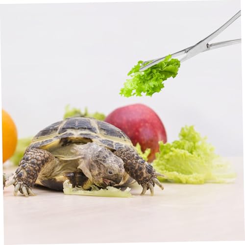 Stainless Steel Reptile Feeding Tongs Long Handle Clamp for Snakes Lizards Wear Resistant Tool with Tension for Easy Feeding Terrariums and Tanks