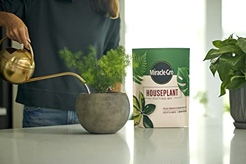 Miracle-Gro Houseplant Potting Mix, 4 qt. (2-Pack) | Fertilized Indoor Plant Soil for Containers, Designed to be Less Prone to Gnats - size: 2 Pack, style: Houseplant