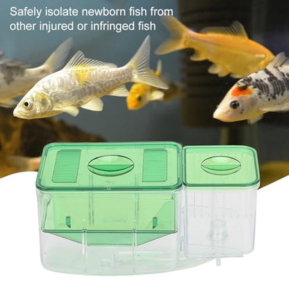Fish Breeder Box for Aquarium — Double Chamber Hang-On Fry Isolation Box for Betta, Guppy & Livebearers | Feeding Hole | Clear View | Fits Most Fish Tanks