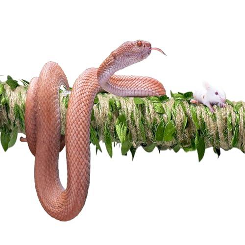 Snake Climbing Stick is Suitable for Ball Python Lizard Tarantula Snake Hermit Crab Leopard Gecko Tree Frog Climber Accessory Terrarium Habitat Decoration (S(11.69inch-21.65inch))