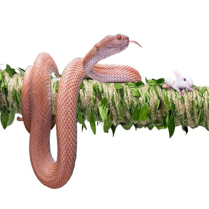 Snake Climbing Stick is Suitable for Ball Python Lizard Tarantula Snake Hermit Crab Leopard Gecko Tree Frog Climber Accessory Terrarium Habitat Decoration (S(11.69inch-21.65inch))