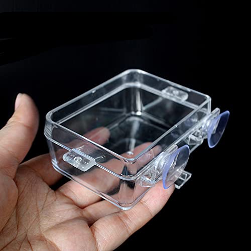 Reptile Feeder Chameleon Bowl 2 Pcs Anti-Escape Food Dish Bowl with Suction Cup for Chameleon Iguana Lizard Reptile Food and Water Feeding (White, S) - color: White, size: S