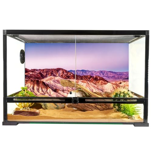 YongFoto Reptile Terrarium Background 30x18 inch Reptile Tank Background Desert Rocky Bush Thorns Western Wilderness Reptile Habitat Background Bearded Dragon Fish Tank Aquarium Background Backdrop - color: Purple, size: 30 x 18 in