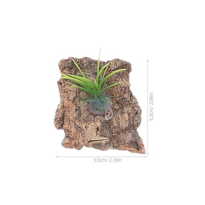 Sosoport 20pcs Natural Cork Bark for Terrarium Reptile Tank Background Tree Bark Hide Platform for Snakes Lizards Turtles Stable Climbing and Hiding Aquarium Decoration