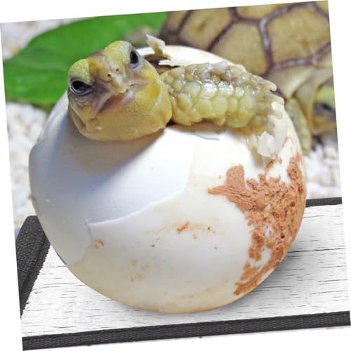 WOONEKY Outdoor Animal Heating Pad Insulation Film Pet Reptile Heating Pad Energy Efficient Easy Maintenance - size: 16.00X16.00X0.10CM