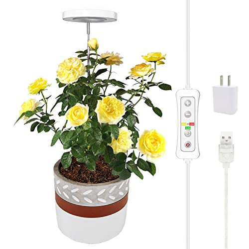 yadoker Plant Grow Light, LED Growing Light Full Spectrum for Indoor Plants,Height Adjustable, Automatic Timer, 5V Low Safe Voltage,Idea for Small Plant Light - color: 3.4 inch Warm White, size: 1 Pack