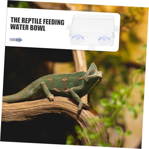 VOSAREA Reptile Food Dish Bowl with Suction Cup, Large Plastic Lizard Feeder and Water Bowl for Bearded Dragons, Geckos, and Chameleons, Snake Tank and Gecko Tank Accessories