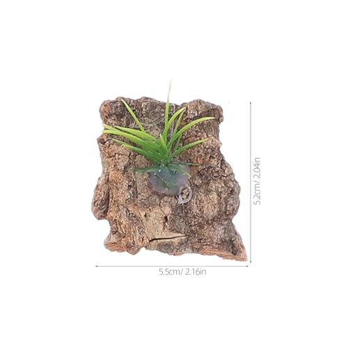 GANAZONO 20pcs Natural Cork Bark Reptile Background for Terrarium Tree Bark Platform and Hideout for Lizards Snakes Turtles Reptile Tank Decor with Climbing and Shelter Features