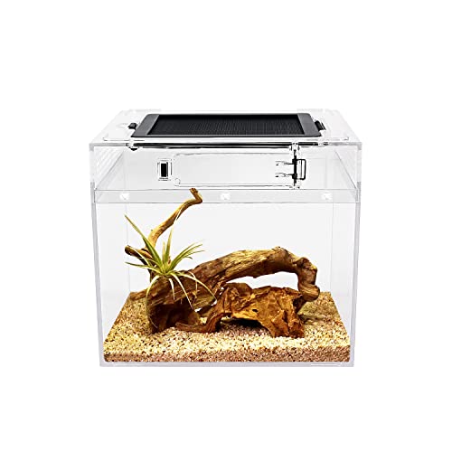 Reptile Growth mini Reptile Terrarium,8" x 8"x 8" Reptile Tank with Full View Visually Appealing，for Insect，Fish，Tarantula，Hermit Crab，Jumping Spider，Iguana，Tortoise，Leopard Gecko，Frog，Bearded Dragon - color: Transparent, size: 8" x 8"x 8"
