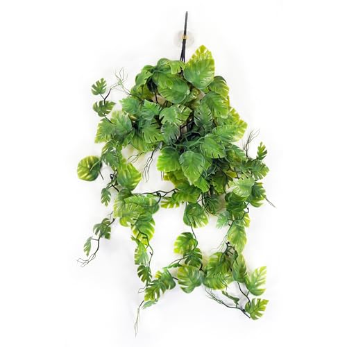 Penn-Plax Reptology Decorative Hanging Terrarium Plant Vines for Reptiles and Amphibians – 24” Length – Green - color: Green, size: 24" Length