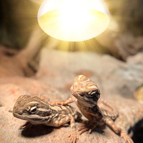 DXOPHIEX 160W Reptile Heat Lamp Bulb Full Spectrum UVA UVB Reptile Light, Sun Lamp Basking Light for Bearded Dragon, Mercury Vapor Bulb for Reptiles and Amphibians - size: 160W