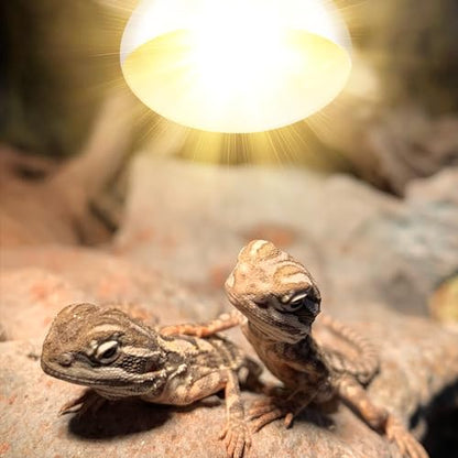 DXOPHIEX 160W Reptile Heat Lamp Bulb Full Spectrum UVA UVB Reptile Light, Sun Lamp Basking Light for Bearded Dragon, Mercury Vapor Bulb for Reptiles and Amphibians - size: 160W