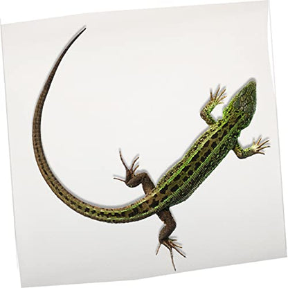 Eva Reptile Carpet Mat Non-Adhesive Reptile Tank Bedding Bearded Dragon Substrate Soft Lizard Climbing Decor Tortoise Bedding